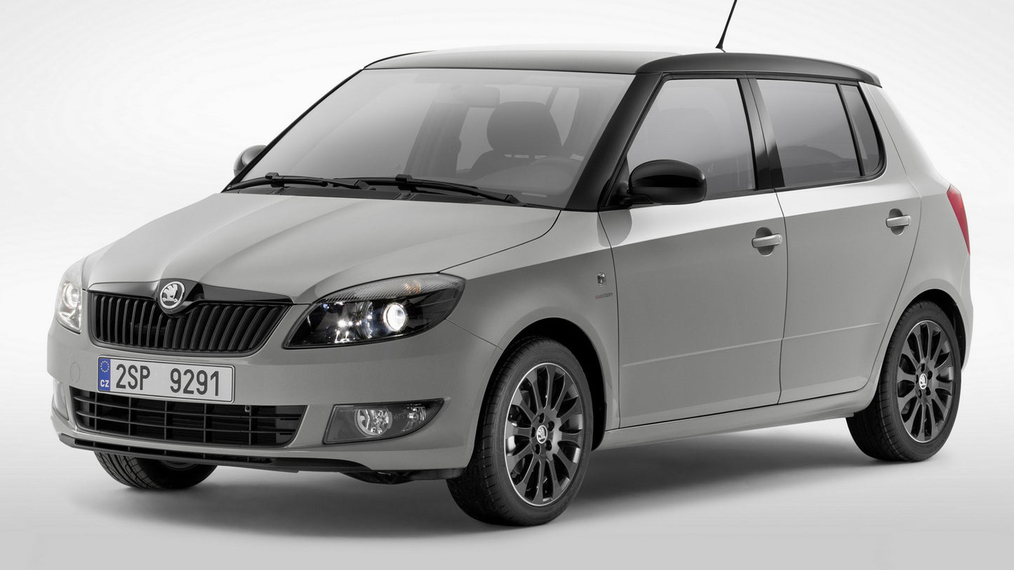 Workshop Manual SKODA