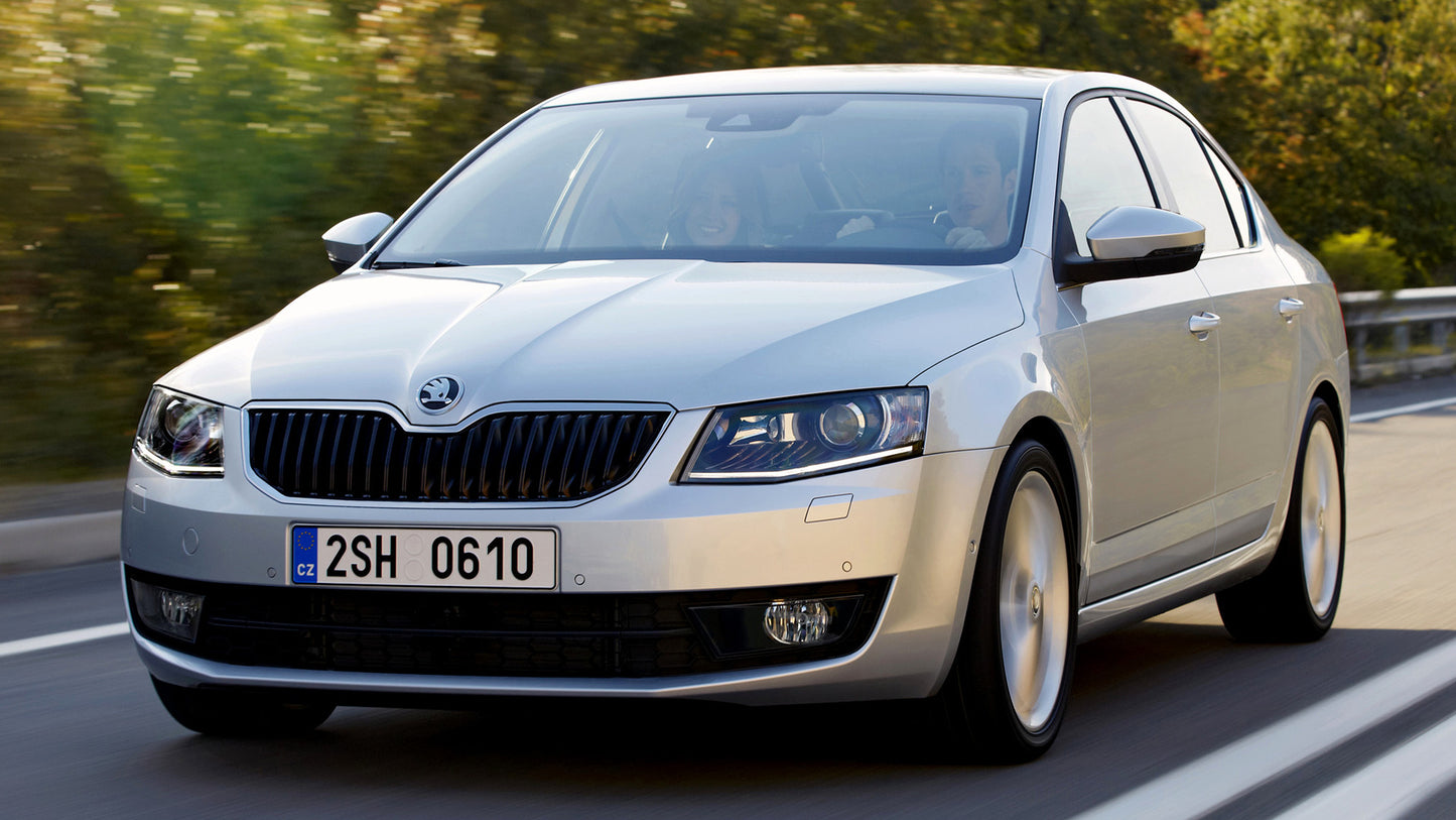 Workshop Manual SKODA