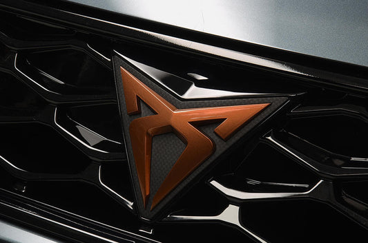 Workshop Manual CUPRA