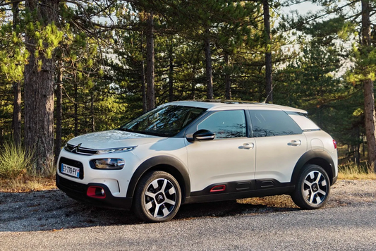 Manuale officina CITROEN C4 CACTUS 2014-2021