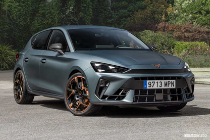 Manuali officina CUPRA