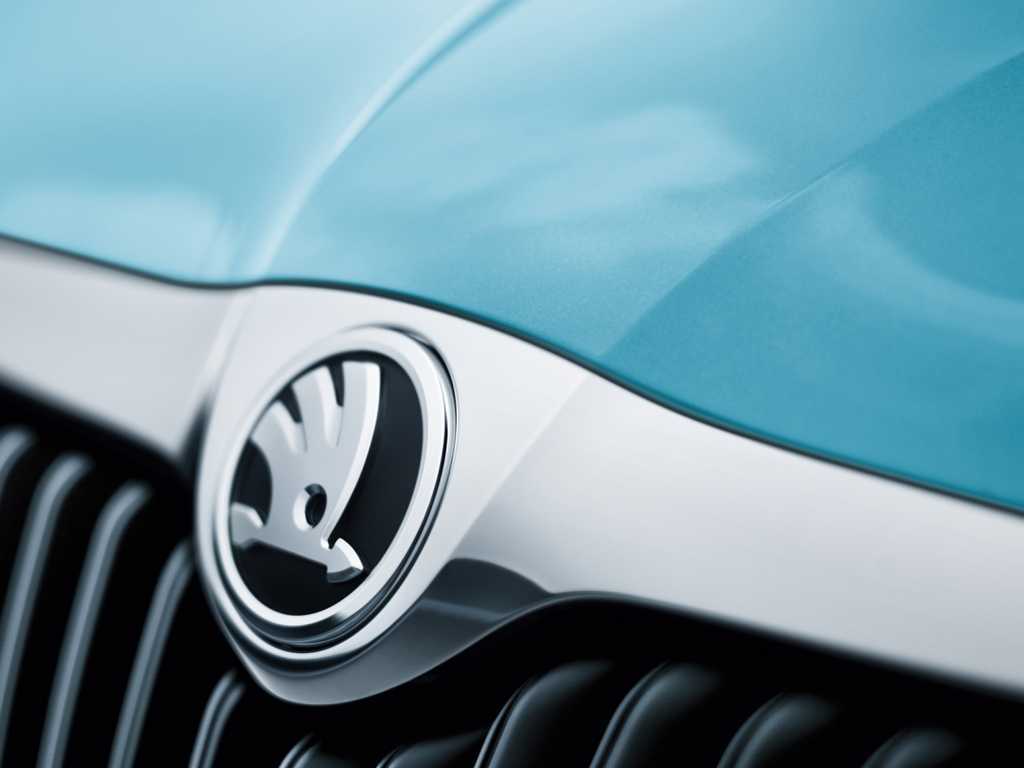 Manuali officina SKODA