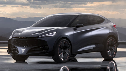Manuali officina CUPRA