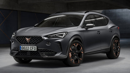 Manuali officina CUPRA