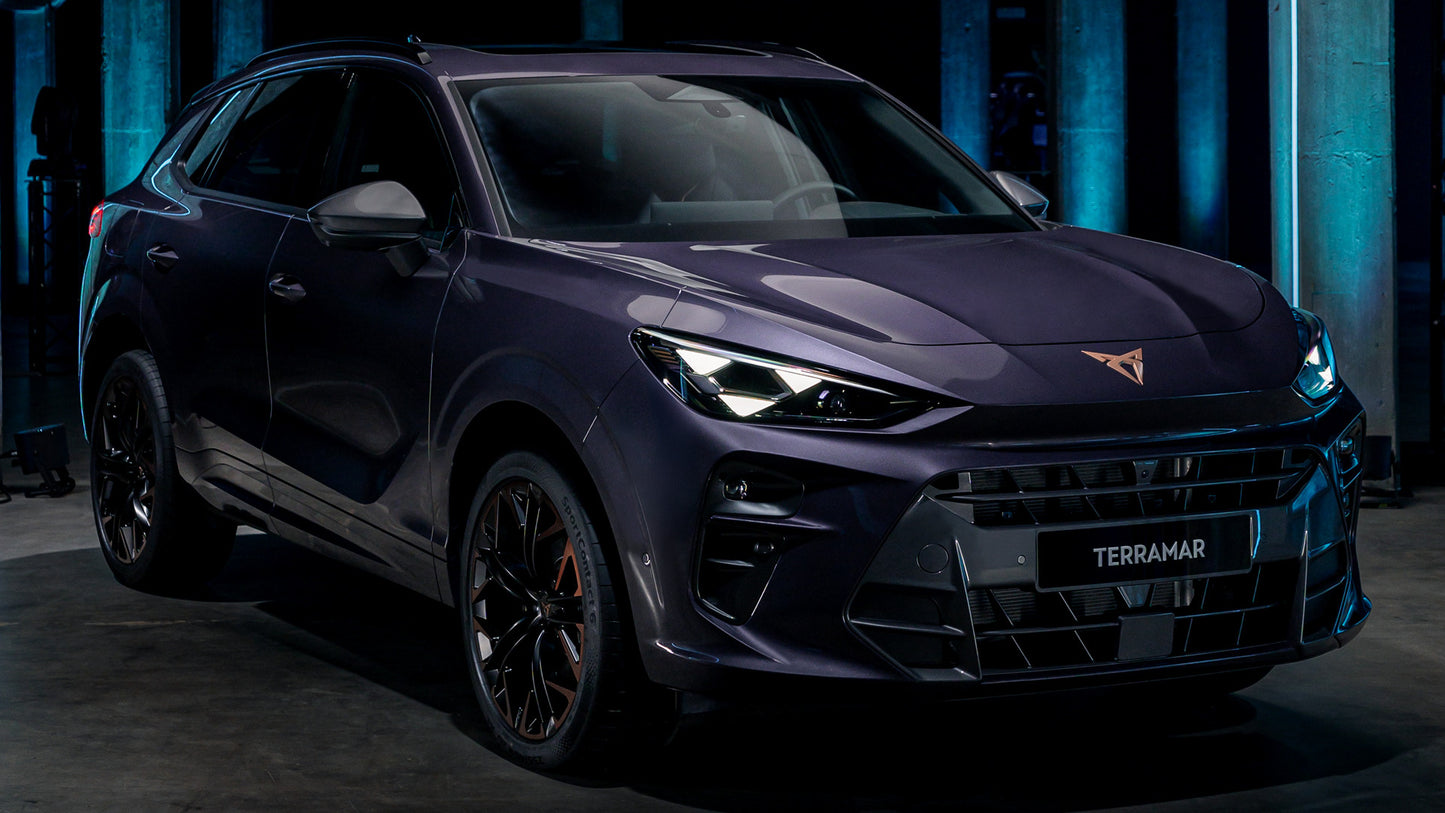 Manuali officina CUPRA