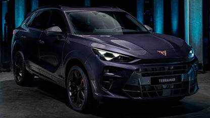 Manuali officina CUPRA